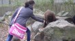 Zoo 2011 (303)